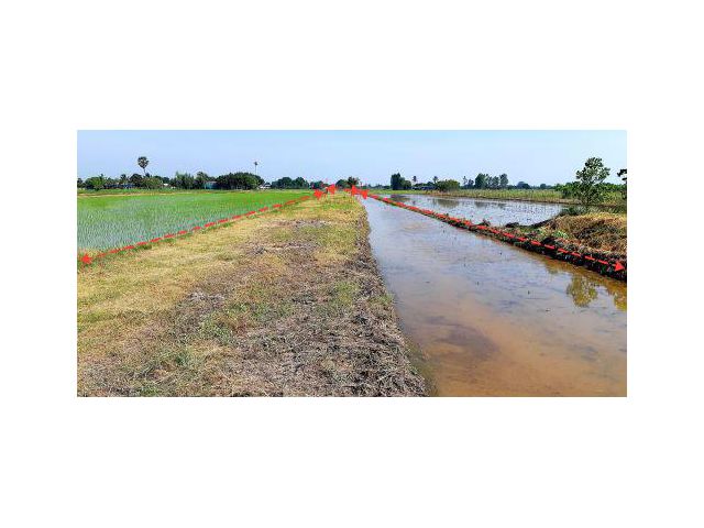 ที่ดิน 2 ไร่ หนองสาหร่าย ดอนเจดีย์ สุพรรณบุรี