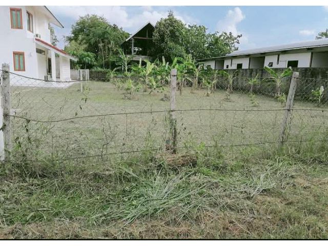 ขายที่ดินตำบลหนองหอยห่างถนนมหิดลเพียง 200เมตร
