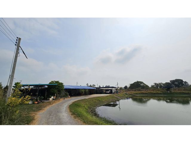 ขายที่ดินพร้อมบ้านพร้อมกิจการตกปลากระพง ริมทางรถไฟติดถนนคอนกรีต6ไร่51ตารางวา
