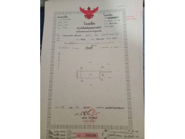 ขายสวนผลไม้ผสม 200ตรว.