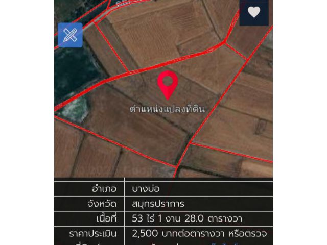 ขายที่ดิน53ไร่ ราคา1.2ล้านต่อไร่