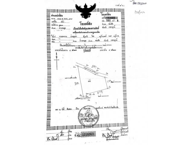 ขายที่ 31ไร่