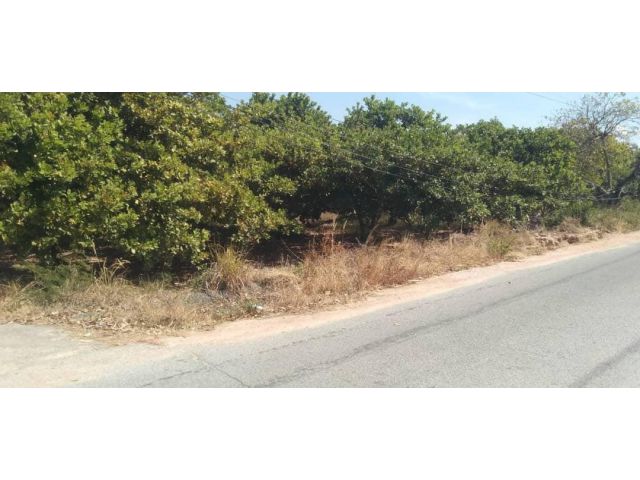 ขายที่ดิน 59-3​ไร่ คลองกิ่ว-บ้านบึง ชลบุรี #​ผังสีเหลืองEEC