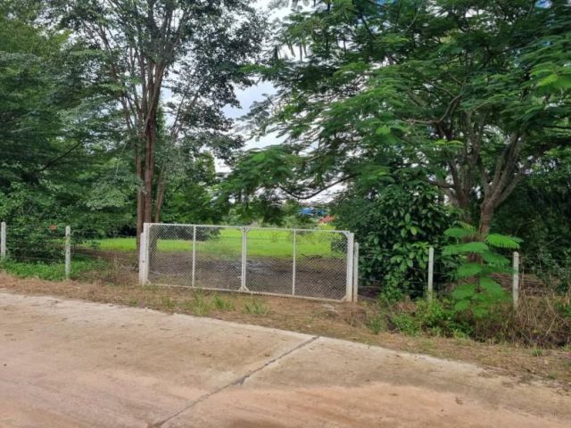 ขายที่ดินแม่ริม ทางไปโรงเรียนนานาชาติเปรมฯ เนื้อที่ 6-0-28 ไร่ ยกแปลง 9.5ล้าน