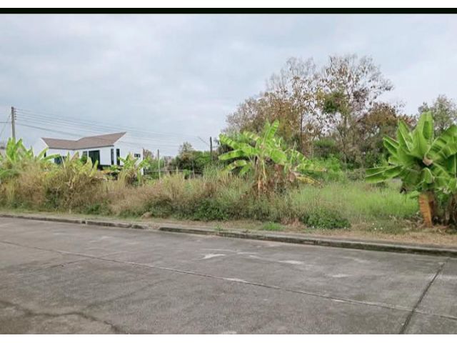 ขายที่ดินตำบลบ้านแหวนหางดงในโครงการวิวดอยพร้อมโอน
