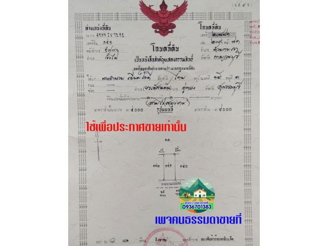 ที่สวยฮวงจุ้ยดี 3 ไร่ 200 ตารางวา ราคา 190,000บาทต่อไร่