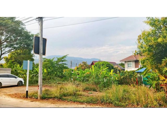 ขายที่ดินตำบลสุเทพวิวดอยหลวงแถวครัวคุณต้อยพร้อมโอน