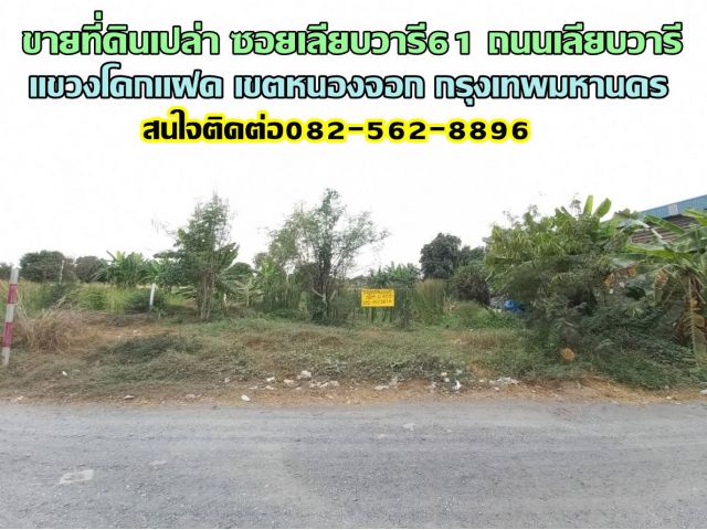 ขายที่ดินเปล่า ซอยเลียบวารี61 แขวงโคกแฝด เขตหนองจอก กรุงเทพมหานคร