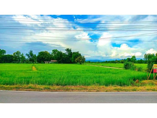ขายที่นาติดถนนสำราญราษฎร์วิวดอยจัดสรรได้พร้อมโอน