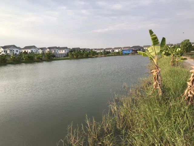 ขายที่ดิน กทม บางขุนเทียน 2ไร่2งาน16วา 8.9ล T022880524