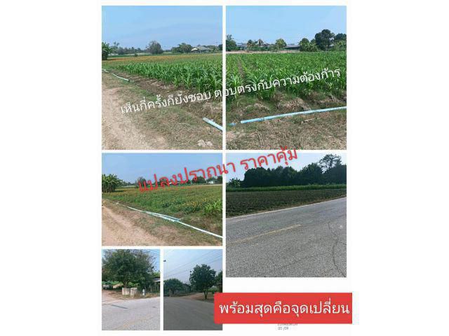 อยากให้คิดบวกเพราะสะดวกสบายมั่นใจได้108% เสนอแปลงดีสู่สายตา ให้เพื่อนๆพี่ๆได้รับรู้ข่าวสารที่ควรจะเป็นคือแปลงสวยเด่นเย็นๆตา พาให้สุขสมบูรณ์
