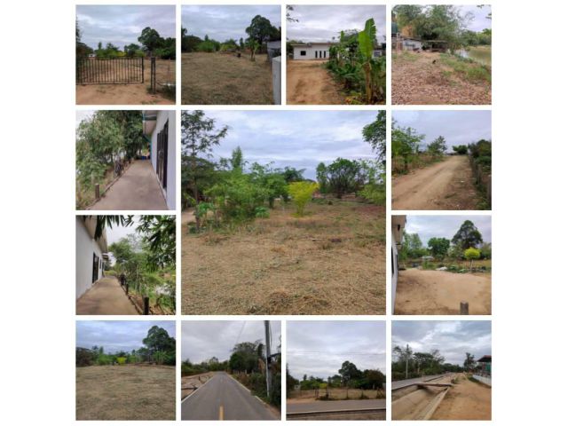 ขายที่ดินพร้อมบ้านสวน ติดลำน้ำชี บ้านดอนบม อำเภอเมืองขอนแก่น โฉนดพร้อมโอน