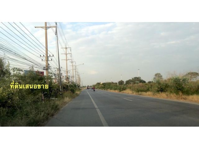 ขายที่ดิน 21 ไร่ ติดถนนสายเอเชีย หน้านิคมไฮเทค บางปะอิน