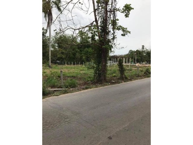 ขายที่ดินตำบลป่าไผ่สันทรายหน้ากว้างติดถนนโฉนดพร้อมโอน