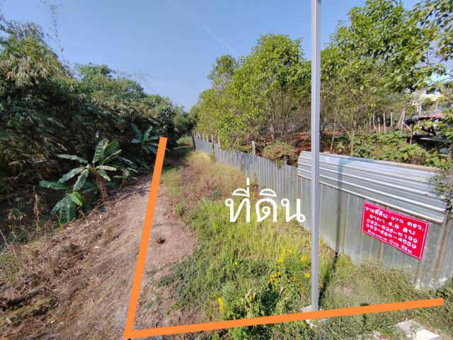 ขายที่ดิน ซอยเวิร์คพ้อยท์ เข้าซอยเลียบคลองเปรม