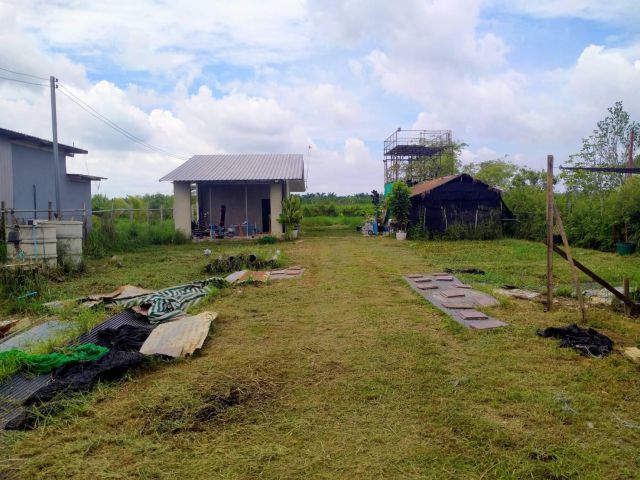 ขายที่ดิน300ตร.ว.พร้อมสิ่งปลูกสร้างเข้าอยู่ได้เลย