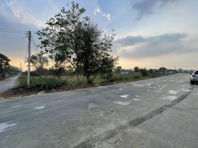 ขายที่ดินหนองขยาด 5 ไร่2 งาน 50 ตร.วา 6000000 บาทติดทางสาธารณะ