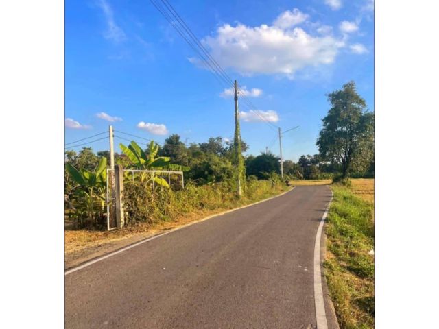 ขายที่ดินตำบลขุนคงหางดงวิวสวยติดถนนพร้อมโอน
