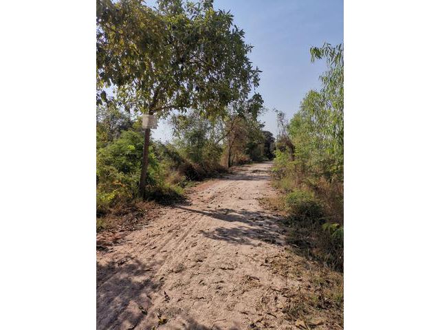 ขายที่ดิน 2 ไร่ อ. หนองหญ้าไซ ตำบล หนองราชวัตร  จ. สุพรรณบุรี ถูกมาก