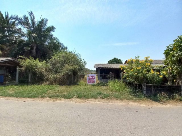 ขายที่ดินเปล่า ซอยคุ้มเขาดิน ตำบลหนองแสง อำเภอปากพลี จังหวัดนครนายก