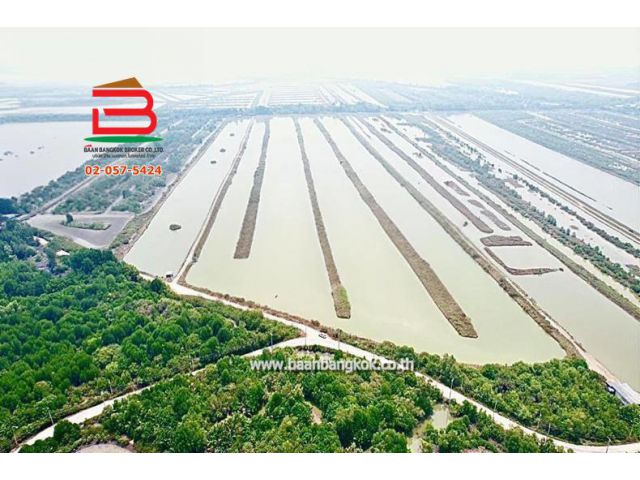 ที่ดินเปล่า ตำบลบางครก เนื้อที่ 106-3-80 ไร่ ถนนธนบุรี-ปากท่อ อ.บ้านแหลม จ.เพชรบุรี