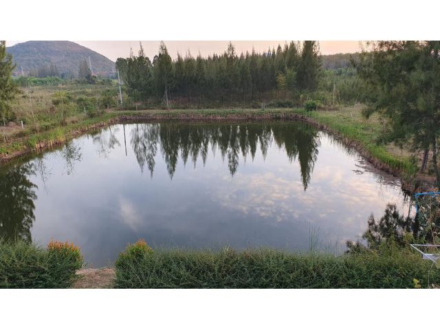 ขายที่ดินโฉนด พร้อมโอน 112.1 ไร่ - เจ้าของขายเอง - ไฟฟ้า 2 หม้อ, น้ำเข้าถึง - ติดคลองชลประธาน 2 ด้าน - มีบ้าน 2 หลัง พร้อม Solar Cell