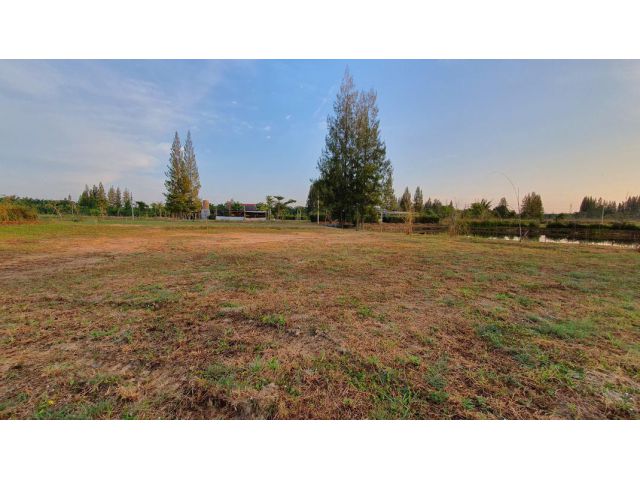 ขายที่ดินโฉนด พร้อมโอน 112.1 ไร่ - เจ้าของขายเอง - ไฟฟ้า 2 หม้อ, น้ำเข้าถึง - ติดคลองชลประธาน 2 ด้าน - มีบ้าน 2 หลัง พร้อม Solar Cell