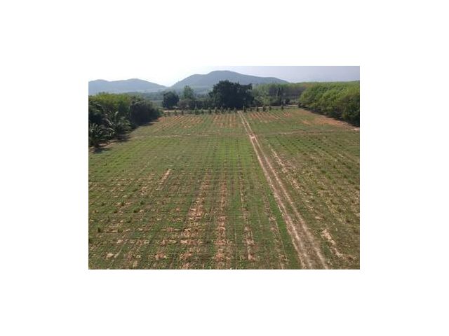 ขายที่ดินโฉนด พร้อมโอน 112.1 ไร่ - เจ้าของขายเอง - ไฟฟ้า 2 หม้อ, น้ำเข้าถึง - ติดคลองชลประธาน 2 ด้าน - มีบ้าน 2 หลัง พร้อม Solar Cell