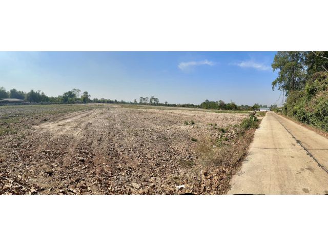 ขายที่ดินบ้านซ่อง 31 ไร่ ติดถนนคอนกรีต ใกล้ถนนเส้น319-2กม. อ.พนมสารคาม ฉะเชิงเทรา