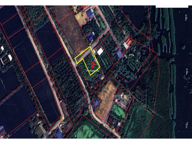 ขายที่ดิน สามพราน นครปฐม ซอยบ้านหงษ์ 1 ใกล้วัดดงเกตุ เนื้อที่ 335 ตร.ว. แปลงสวย ถมแล้ว