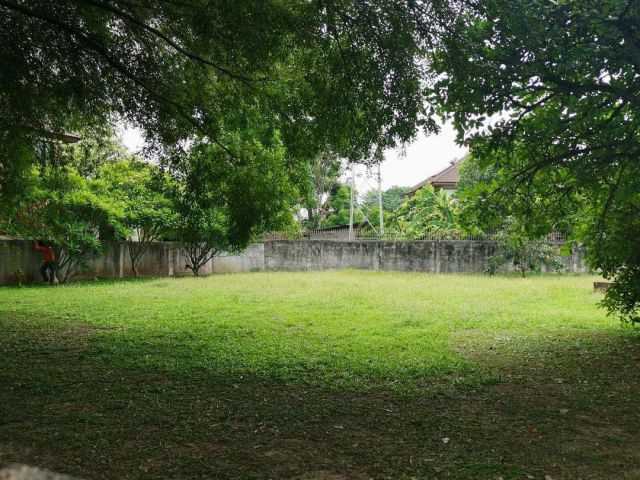 TL0134  ที่ดิน เปล่าในหมู่บ้าน ใกล้เมือง เชียงใหม่   แปลงนี้สวยมาก