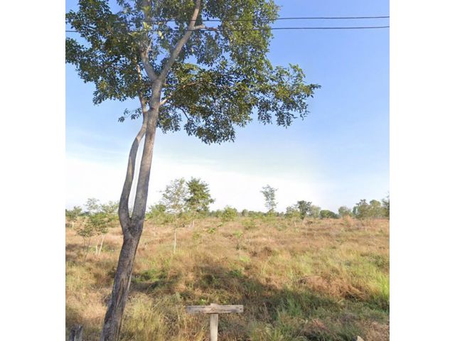 ขายที่ดินพร้อมสวนป่า ต้นพะยุงและไม้เนื้อแข็ง บริเวณบ้านหนองกะเดา ต.หนองกุงเซิน อ.ภูเวียง จ.ขอนแก่น