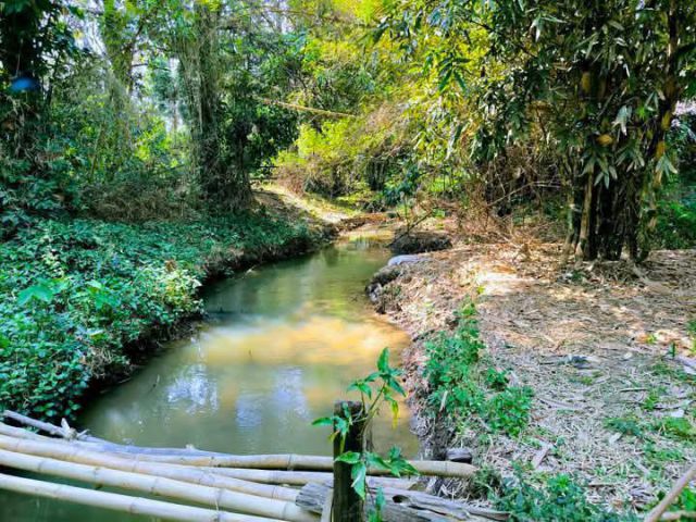 ขายที่ดินบ้านหนองบัวแม่แตงติดลำน้ำยาว 50 เมตรราคาถูก