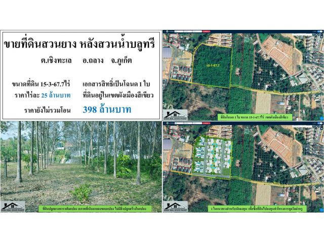 ขายที่ดินสวนยาง 15-3-67.7ไร่ หลังสวนน้ำบลูทรี ผังสีเขียว ***ไร่25ลบ.***