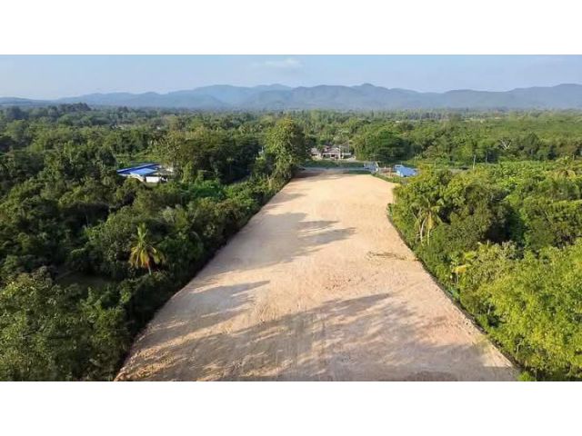 ขายที่ดินบ้านศรีวังธารป่าไผ่สันทรายถมดินเรียบร้อย