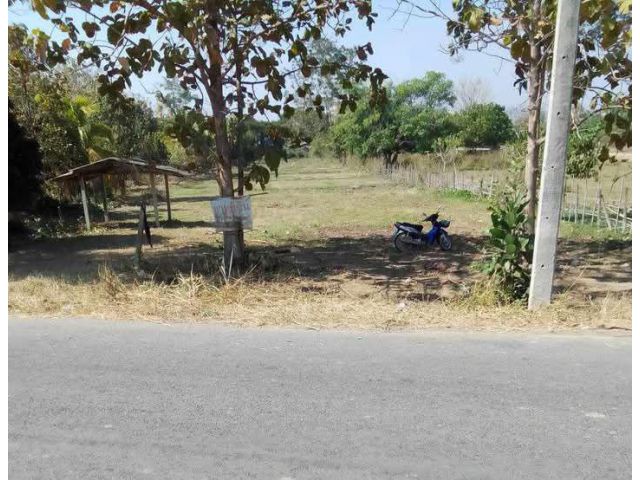 ขายที่ดินตำบลน้ำบ่อหลวงสันป่าตองติดถนนคอนกรีตพร้อมโอน