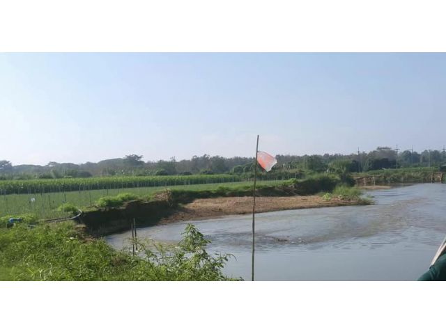 ขายที่ดินติดแม่น้ำปิงกว้าง 800เมตรแม่แตงพร้อมโอน