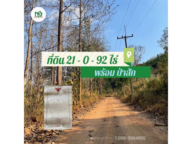 ขายที่ดิน+ป่าสักทอง 21ไร่ 92ตรว. อ.ทองผาภูมิ จ.กาญจนบุรี