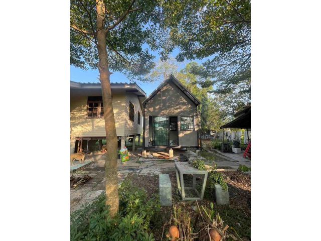 ขายด่วนบ้านสวนพร้อมที่ดิน 3 ไร่