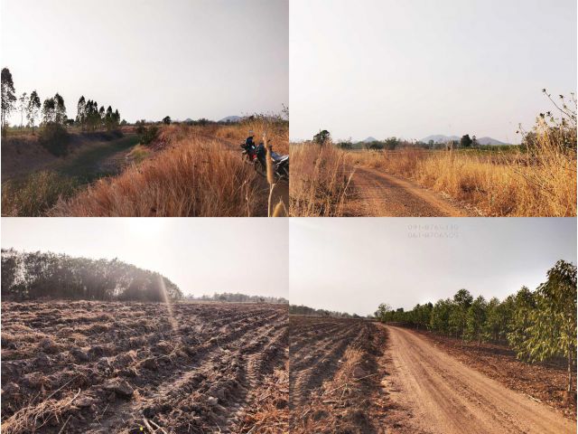 ขายที่ดิน 35ไร่กว่า ชัยนาท ติดคลองน้ำ ด้านหน้าติดถนน เห็นวิวเขาสวย ขายถูกราคาถูก