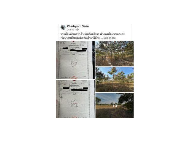 ขายด่วนมากๆ1,500,000 ที่ดินอำป่าติ้ว 6ไร่ ฟรีค่าโอน