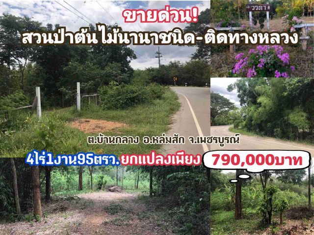 สวนป่านานาชนิด-ติดทางหลวง-ไฟฟ้าประปาพร้อมใช้งาน