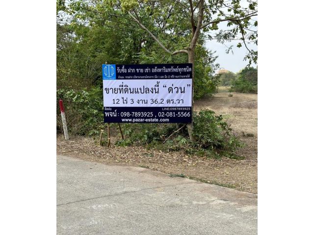 ขายที่ดินเปล่า เนื้อที่ 12-3-36.2 ไร่ ทำเลทอง ติดกับมหาวิทยาลัยราชภัฏจอมบึง ราคาถูก คุ้มค่าในการลงทุนทำธุรกิจ