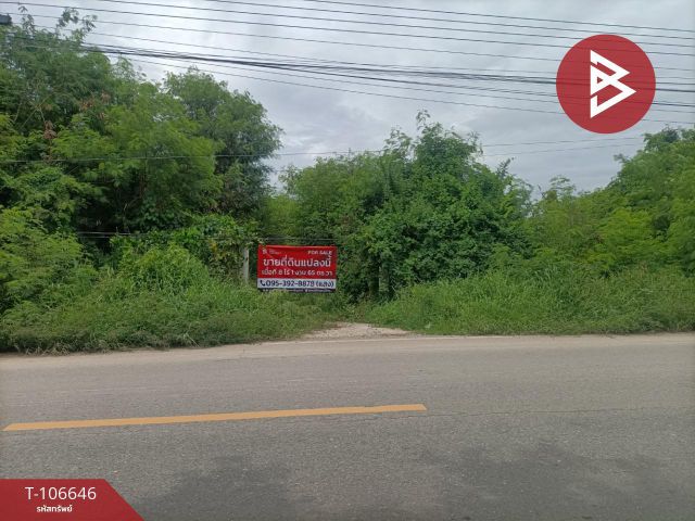 ขายที่ดินเปล่าด่วน เนื้อที่ 8 ไร่ 1 งาน 65 ตร.วา บางกะไห ฉะเชิงเทรา