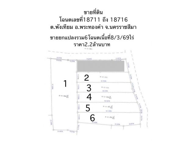 ขายที่ดินในชุมชน ถนนลาดยาง มีไฟฟ้า ประปา  โคกสวาย พระทองคำ นครราชสีมา 8/3/69 ไร่หรือแบ่งขาย สำหรับปลูกบ้านหรือสวนเกษตร  ห่างตลาดโคกสวาย 2กม.