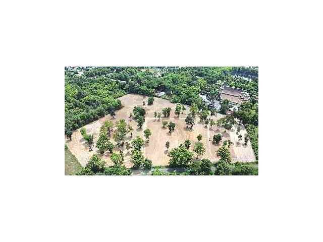 TL0083   ขาย !!  ที่ดินเปล่า  แปลงสวย แปลงใหญ่