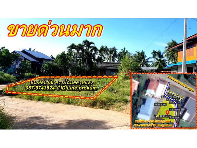ขายที่ดินบ้านโตก