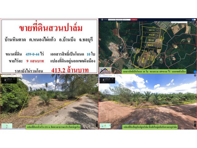 ขายที่ดินสวนปาล์ม ขนาด 459-0-44 ไร่  **บ้านหินตาด หนองไผ่แก้ว**  อ.บ้านบึง  ชลบุรี  (ไร่6แสนบาท)