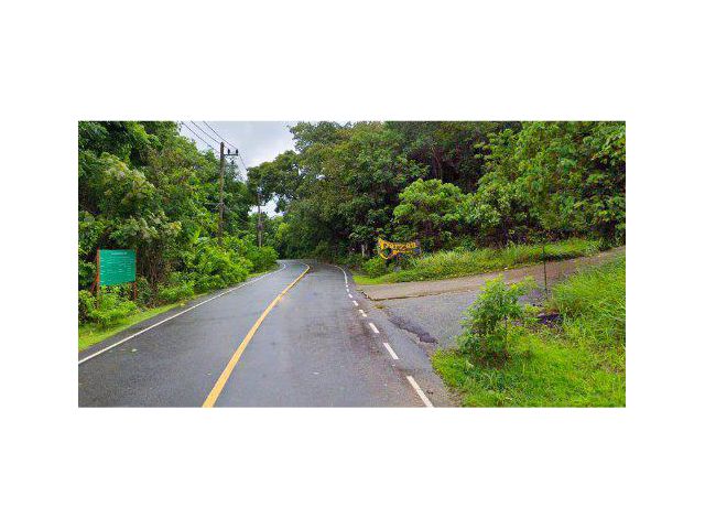 ขายที่ดิน 42 ไร่ ติดทาซานอเวนเจอร์ ถ.อ่าวยน-เขาขาด ต.วิชิต อ.เมืองภูเก็ต จ.ภูเก็ต