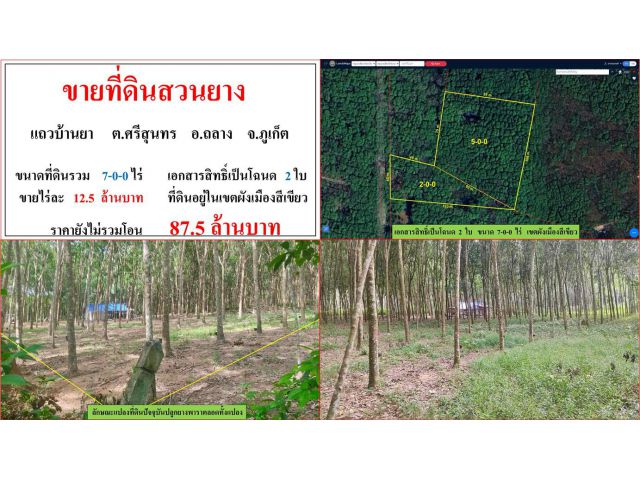 ขายที่ดินสวนยาง ขนาด 7-0-0 ไร่  แถวบ้านยา  ต.ศรีสุนทร  อ.ถลาง  ภูเก็ต
